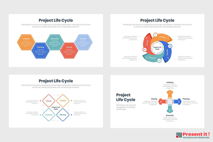 Project Life Cycle